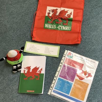 The winners of our Siaradwr Cymraeg Gwych will have the opportunity to take home our new class mascots and share their knowledge of Welsh at home.